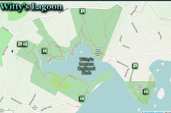 witty's lagoon