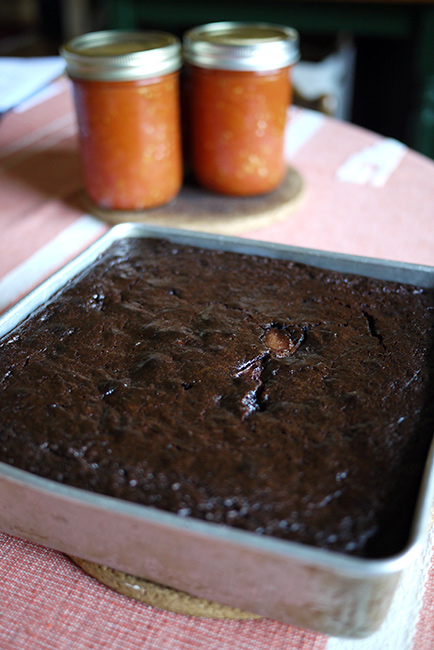 chocolate_quinoa_cake