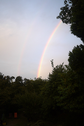 d-rainbow