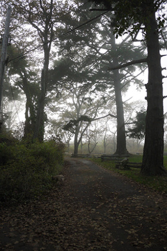 霧の中の散歩